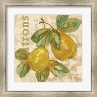 Framed Rustic Fruit III