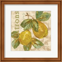 Framed 'Rustic Fruit III' border=