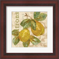 Framed Rustic Fruit III