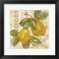 Rustic Fruit III Framed Print