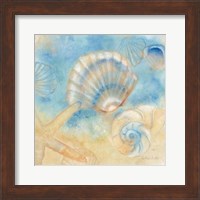 Framed Watercolor Shells II