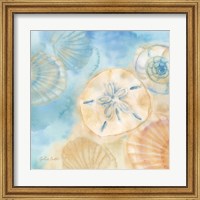 Framed Watercolor Shells III