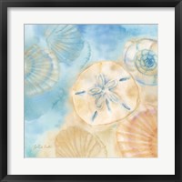 Framed Watercolor Shells III