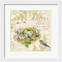 Framed Nature Trail I