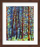 Framed In A Pine Forest