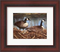 Framed Nesting