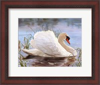 Framed Swan