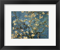 Framed Blossoming Almond Tree, Saint-Remy, c.1890