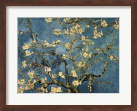 Framed Blossoming Almond Tree, Saint-Remy, c.1890