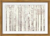 Framed Birch Trees on White
