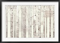 Framed Birch Trees on White