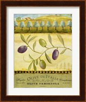 Framed Olive Grove Puglia