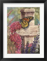 Framed Butterfly and Fence Cross