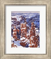 Framed Turned to Stone Bryce