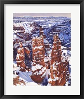 Framed Turned to Stone Bryce