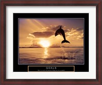 Framed Goals - Dolphins