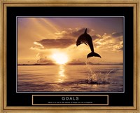 Framed Goals - Dolphins