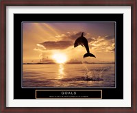 Framed Goals - Dolphins