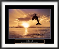 Framed Goals - Dolphins