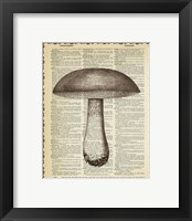 Framed 'Mushroom' border=