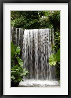Framed Singapore, National Orchid Garden, Waterfall