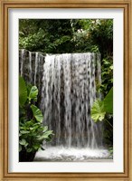 Framed Singapore, National Orchid Garden, Waterfall
