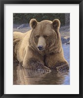 Framed Cool Down - Grizzly