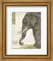 Framed L'Elephant