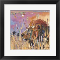 Framed Chobe Park Lion