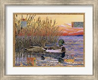 Framed Mallards at Dawn