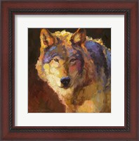 Framed Amadeus Wolf