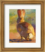 Framed Backdoor Bunny