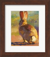Framed Backdoor Bunny