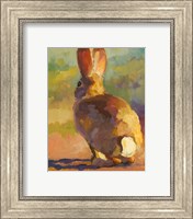 Framed Backdoor Bunny