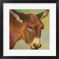 Framed Bored Burro