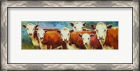 Framed Cattle Call