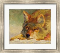 Framed Chillin Coyote