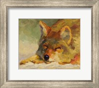 Framed Chillin Coyote