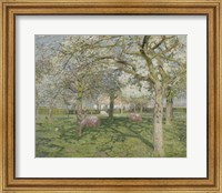 Framed Orchard in Springtime 1902