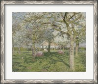 Framed Orchard in Springtime 1902