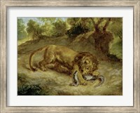 Framed Lion and Cayman, 1855