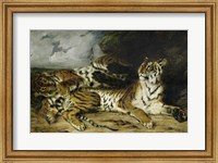 Framed Young Tiger Playing with its Mother, 1830