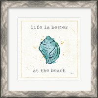 Framed Sea Treasures I