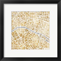 Framed Gilded Paris Map