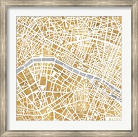 Framed Gilded Paris Map