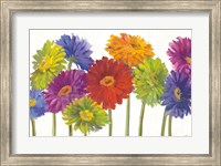 Framed Colorful Gerbera Daisies