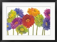 Framed Colorful Gerbera Daisies