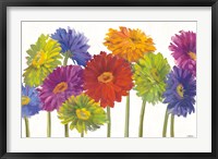 Framed Colorful Gerbera Daisies