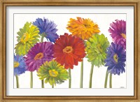 Framed Colorful Gerbera Daisies