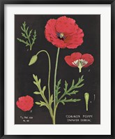 Framed Poppy Chart